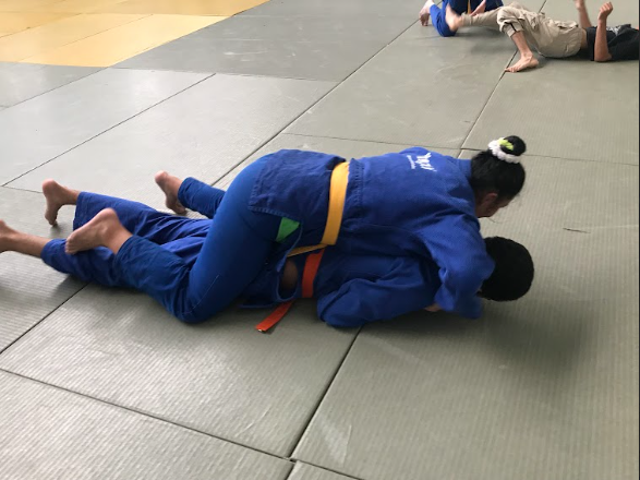 Entrenamiento de judo